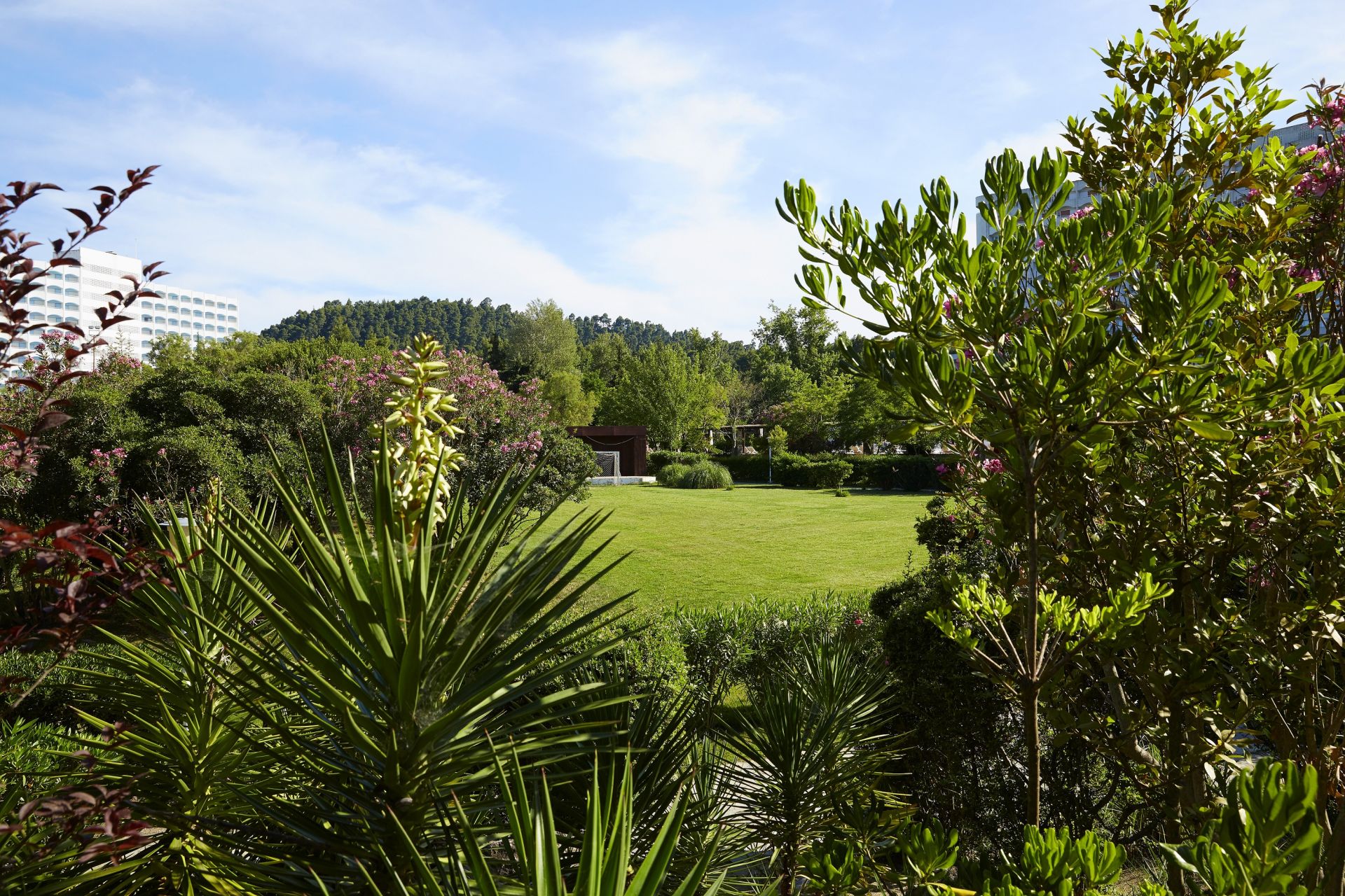 Pallini Beach 4 * Pallini Beach 4 *