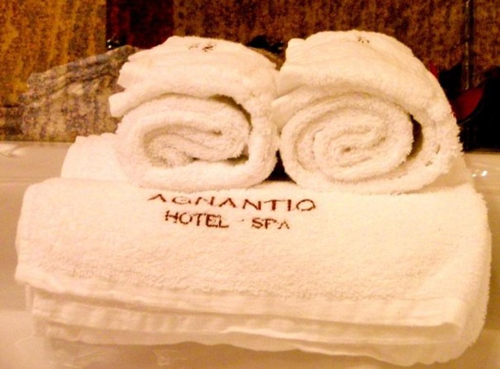 Agnantio Hotel Spa 3 *